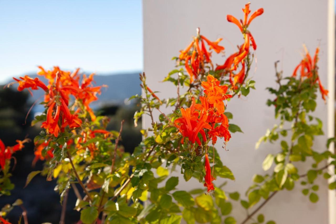 Villa Stamatis Pefki  ภายนอก รูปภาพ